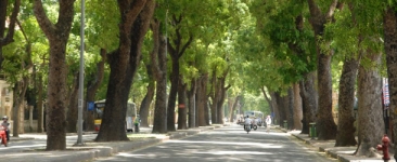 hanoi-tran-phu-street